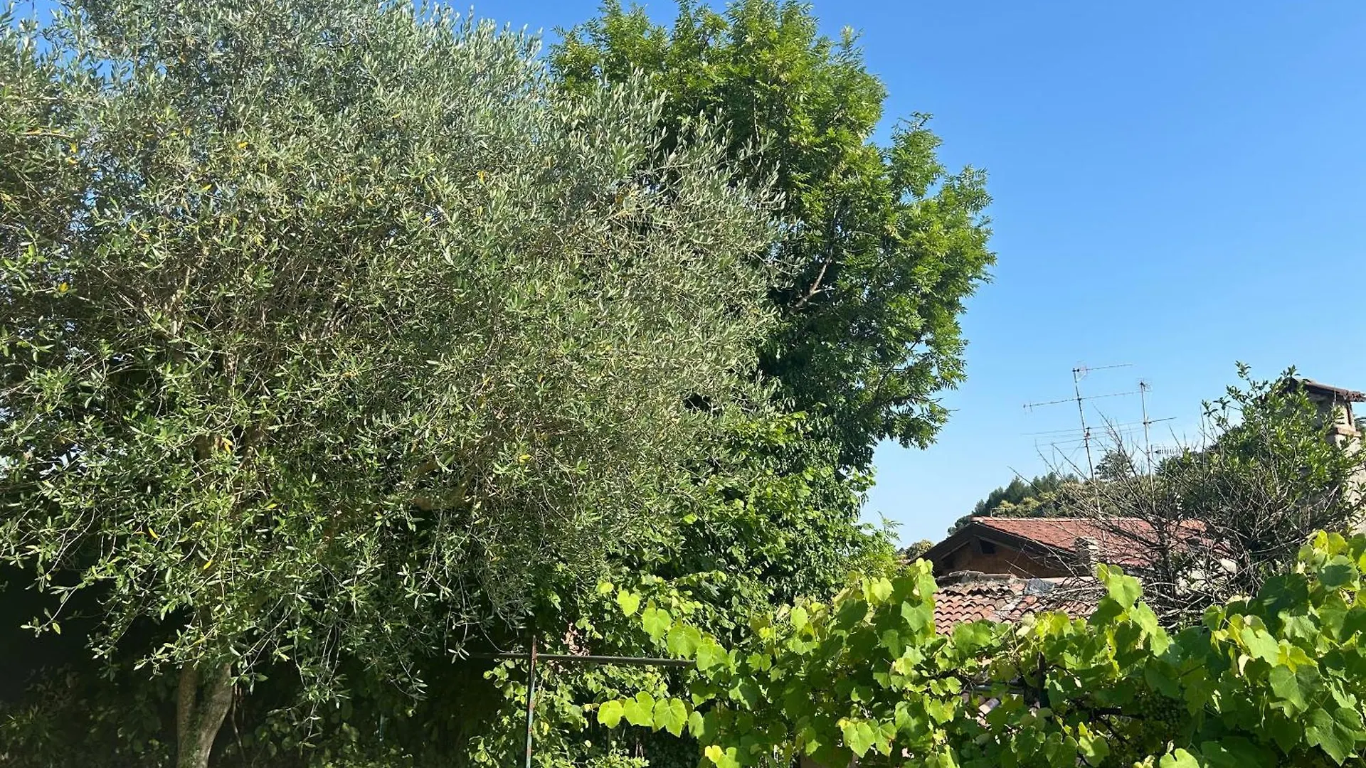 Bed & Breakfast B&B La Corte And Home Restaurant - Free Parking - 10 Minutes To The Lake And Centre Tavernerio